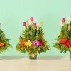 Tulipanes